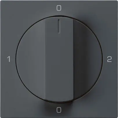 Intérieur pour interrupteur rotatif kallysto 2/1L anthracite avec manette 