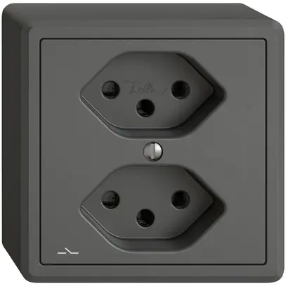 Prise AP EDIZIO.liv SNAPFIX® 2×T13 1×S grf 