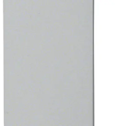 Embout de fermeture Hager tehalit.LFS 100×60mm zinc IP30 