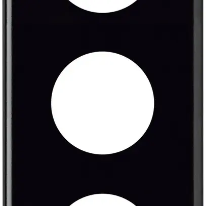 Plaque de recouvrement basico 3×1 3×43mm noir 
