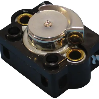 Interruttore a tirante INS ELBRO 2A/250V 1/1L, senza cordone, nero 