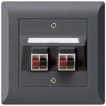 Prise ENC audio kallysto.line 2× anthracite borne à étrier pour 2 haut-parleurs 