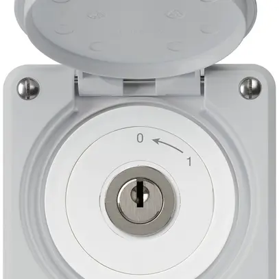 Contact pivotant à clé ENC robusto IP55 gris avec clapet 1P 
