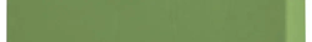 Blocco di distribuzione PX PTFIX 2X4 GN 