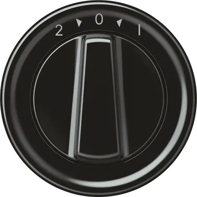Pulsante rotativo origin 1P 0<1 10A 230V 60×60mm nero 