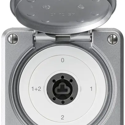 Interruttore a chiave INC robusto IP55 copertura senza cilindro S1/1P alluminio 