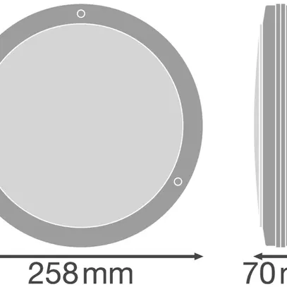 Plafonnier/applique LED SURFACE BULKHEAD 250 ON/OFF 10W 800lm 840 IP65 blanc 