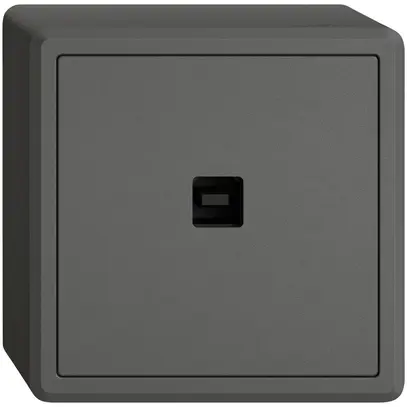 Interfaccia dati USB KNX AP EDIZIO.liv SNAPFIX® presa USB tipo B grs 