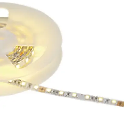 Ruban de lumière LED SLV FLEXLED ROLL PRO, 24VDC 60 LED/m 12W/m 3100K 1m IP20 