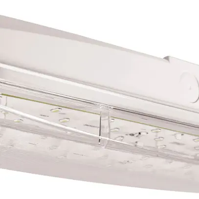 Luminaire de voie de secours LED DOTLUX EXIT IP65 mur 350lm 