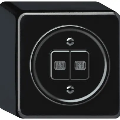 AP-Leuchtdrucktaster origin 2×Tasten 2×bel.2CO 1P 0<1 10A 230V 88×88×54mm sz 