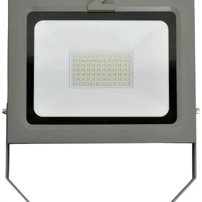 Projecteur LED Z-Licht ZL 50W 5000lm 4000K IK08 IP54 gris 