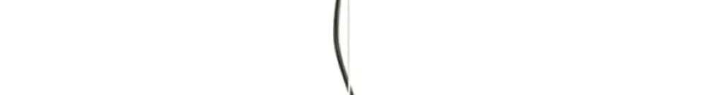 Pendelleuchte SLV FORCHINI 70 PD 40W Ø700mm schwarz/gold 