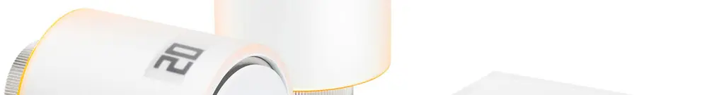 Set de vanne Legrand Netatmo, 2 pièces 