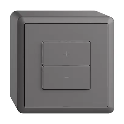 Dimmer Uni-LED AP 1K/2T WLAN Edue Wiser grigio scuro 
