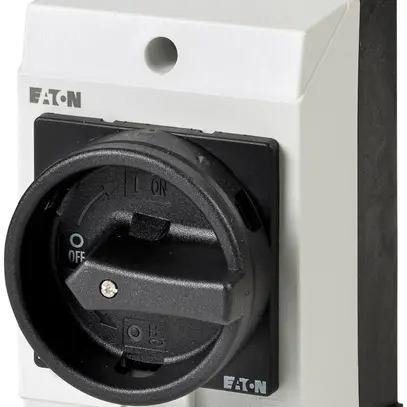 Interruttore principale AP ETN 20A/2L 0-1 