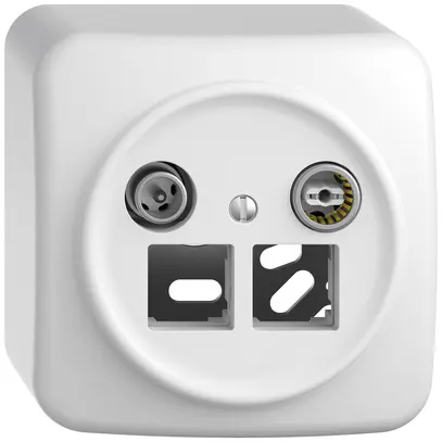 Prise multimédia AP TV-R STANDARDdue SNAPFIX® EASYNET p.2×RJ45 S-One 19dB bc 