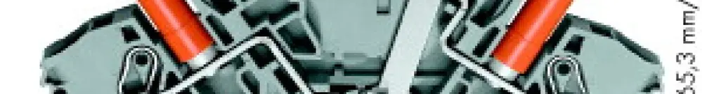Morsetto sezionatore di misura WAGO 10mm² 2L grigio per pont 