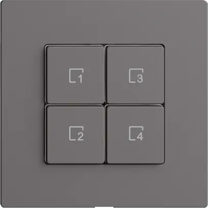 Comando per pulsante scena 4 scene/4T WLAN Edue Wiser grigio scuro 