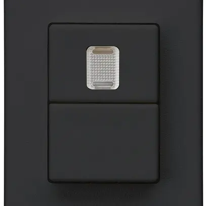EB-Doppel-Druckschalter Hager FLF 10A/250V 3/1L 1× beleuchtet schwarz 