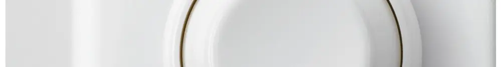 AP-Drehdimmer basico Phasenabsch. 20…550W weiss 