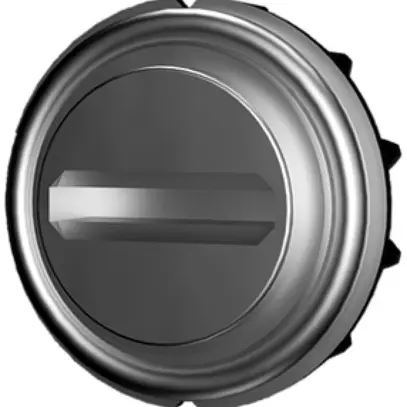 Insert de verrouillage Rittal VX 8618.304 fente version G 