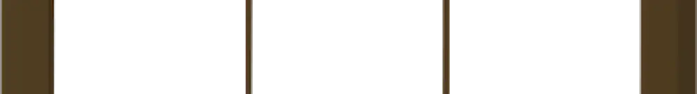 En-tête ENC kallysto.line 1×3 brun horizontal 