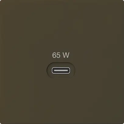 Prise de charge USB Hager kallysto type C 65W 3250mA brun 