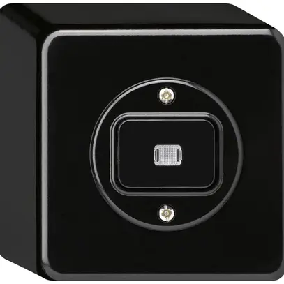 Interrupteur AP basico lumineux 3/2L noir 