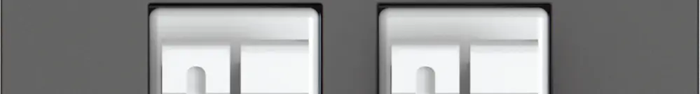 Prise audio EDIZIO.liv SNAPFIX® 2× grf 