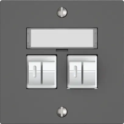 Prise audio EDIZIO.liv SNAPFIX® 2× grf 
