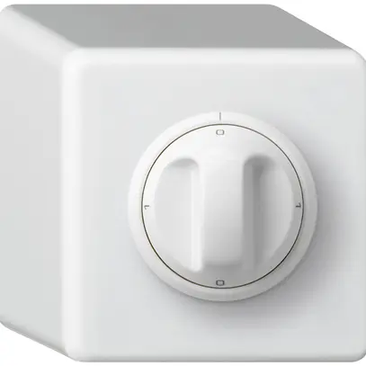 Interrupteur rotatif AP basico 2/1L 0-A-0-M blanc avec manette 