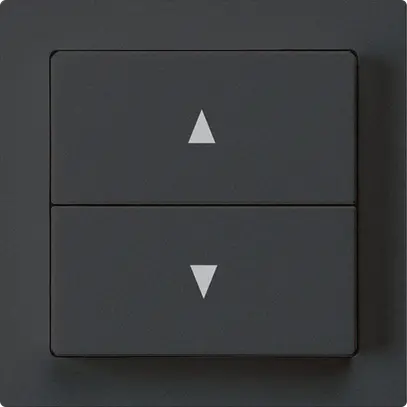 Poussoir pour stores kallysto noir avec 2 touches bornes enfichables 