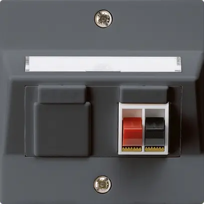 Prise ENC audio kallysto 1×anthracite borne à étrier pour 1 haut-parleur 