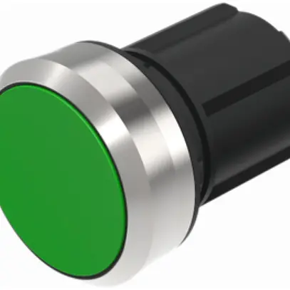 Interruttore INS EAO45, R, verde, anello grigio, a filo 