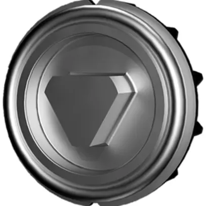 Insert de verrouillage Rittal VX 8618.303 triangulaire 8mm version G 