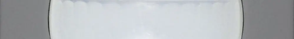 Détecteur de présence ENC Luxomat PD2 S 180 C Master 2C Kallysto, gris foncé 