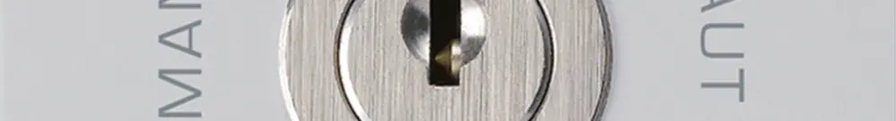 Intérieur interrupteur à clé 0-Man-0-Aut. kallysto 2/1L gris clair avec serrure 