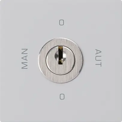 Intérieur interrupteur à clé 0-Man-0-Aut. kallysto 2/1L gris clair avec serrure 