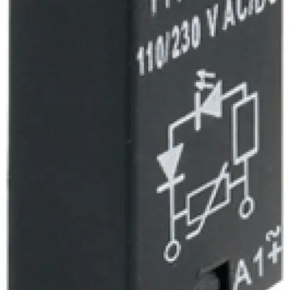 Filtre RC WM RIM 2 24/60VDC GN résistance de fuite 