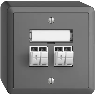Prise audio AP Push Type EDIZIOdue FX, 2×, kit d'inscription, gris foncé 
