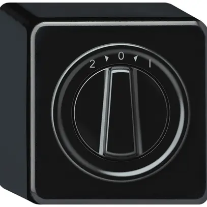 Pulsante rotativo AP origin 1P 0<1 10A 230V 88×88×54mm nero 