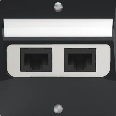 Boîte de raccordement ENC SIDUS 2×RJ45 anthracite 