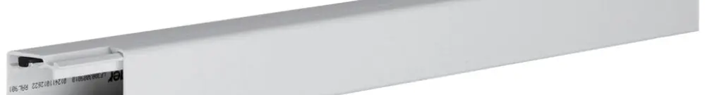 Canale d'installazione tehalit LF 30×30×2000mm (l×h×L) PVC grigio chiaro 