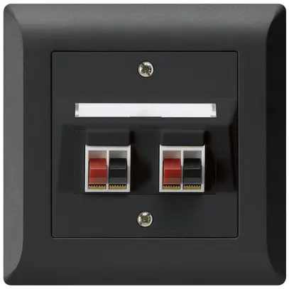 Prise ENC audio kallysto.line 2× noir borne à étrier pour 2 haut-parleurs 