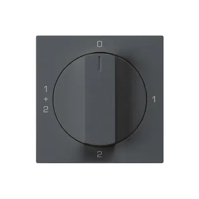 Inserto per interruttore rotativo kallysto 1/1L antracite con manopola 