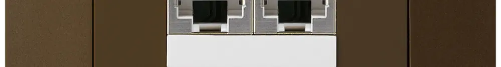 Boîte ENC kallysto.trend 2×RJ45s brun parallèle 