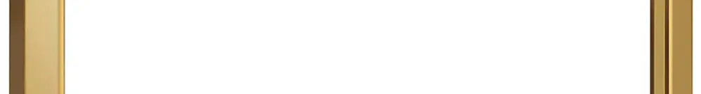 Cadre de recouvrement LINEA 5000 1×1 vertical 41×41mm or 