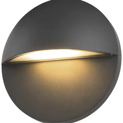 Applique LED SLV LID II 15W 800lm 2700/3000K IP65 REG Ø220mm antracite 