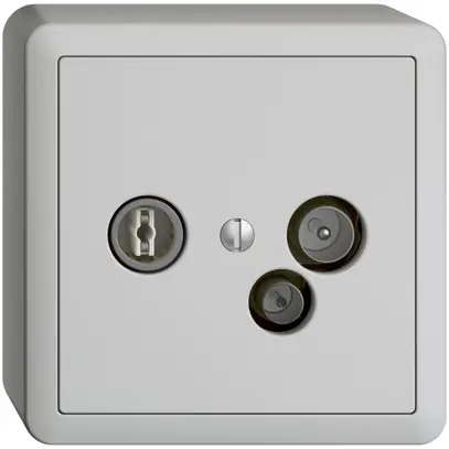 Prise de données AP TV-R DD15 5…65MHz EDIZIOdue gris clair 
